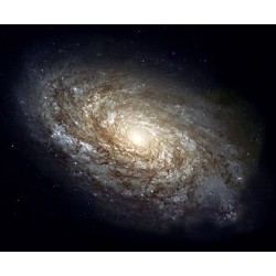 товар Андрія бази